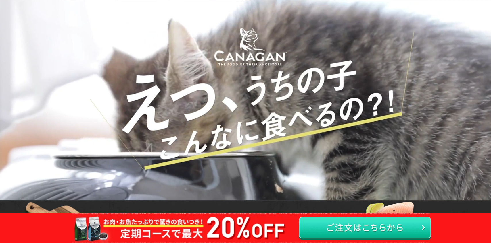 カナガン