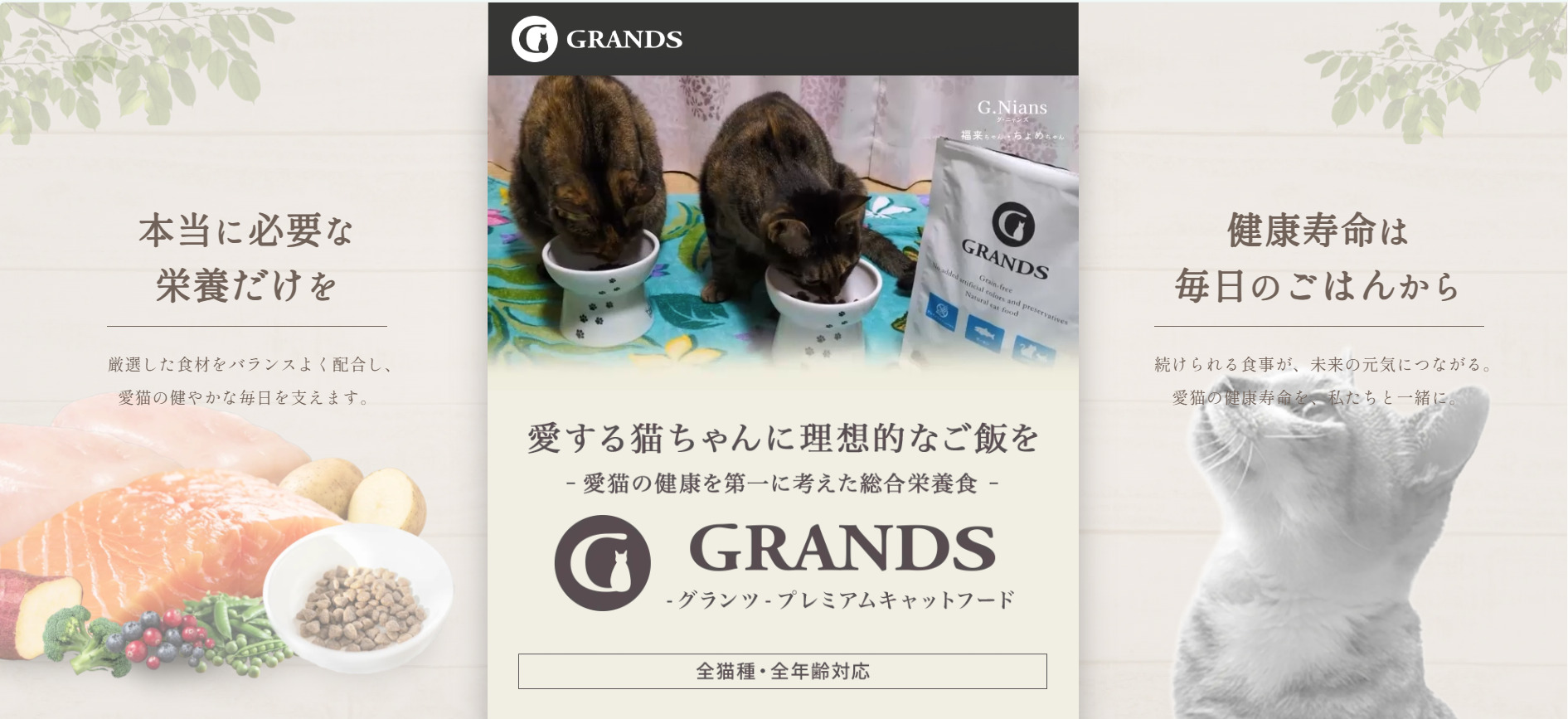 グランツ